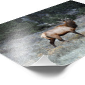 Impression Photo Bull Elk Bugling, Estes Park, Colorado (Coin)