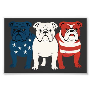 Impression Photo Bulldog 4 juillet amateur de chien Hommes femmes D