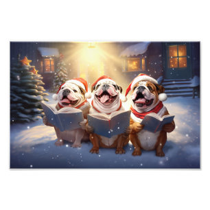 Impression Photo Bulldogs Noël Festive de Noël