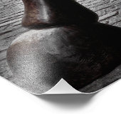 Impression Photo BULLE DU MARCHÉ stock (Coin)