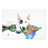Impression Photo Bullterrier blanc sur Patchwork - Art (Devant)