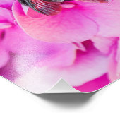 Impression Photo Bumble Bee Sur Hydrangea (Coin)