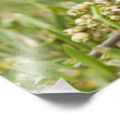 Impression Photo Bunting peint (Coin)