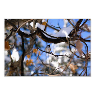 Impression Photo burb dans tweet