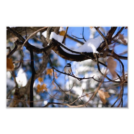 Impression Photo burb dans tweet (Devant)