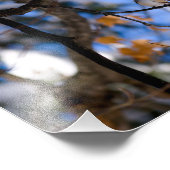 Impression Photo burb dans tweet (Coin)