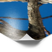 Impression Photo Buse à épaulettes rouge (Coin)