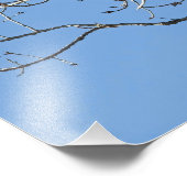 Impression Photo Buse à queue rouge (Coin)