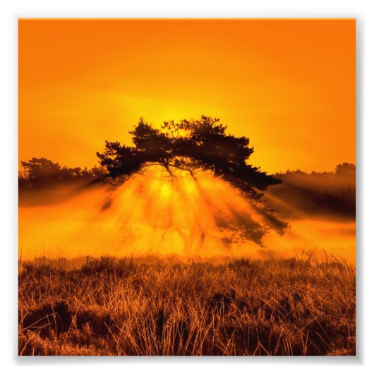 Impression Photo Bush en feu (Devant)