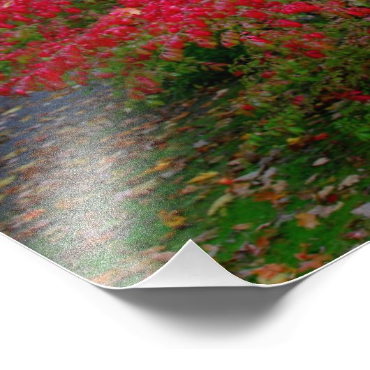 Impression Photo Bush en feu (Coin)