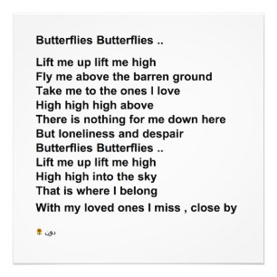 IMPRESSION PHOTO BUTTERFLIES BUTTERFLIES (OPTION 1)