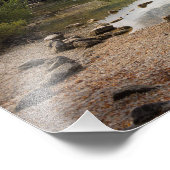 Impression Photo Cabine le long du lac Bohinj en Slovénie (Coin)