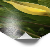 Impression Photo Cabines de saut (Coin)