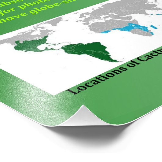 Impression Photo Cactus (Coin)