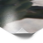 Impression Photo Cactus Challa en fleurs (Coin)