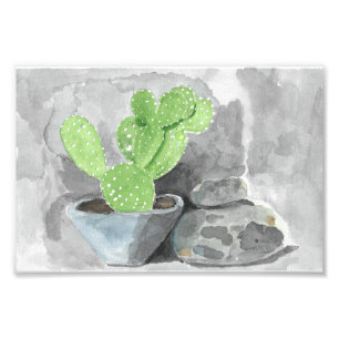 Impression Photo Cactus dans Planter