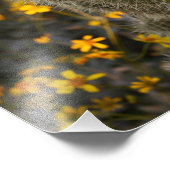 Impression Photo Cactus et Fleurs sauvages (Coin)