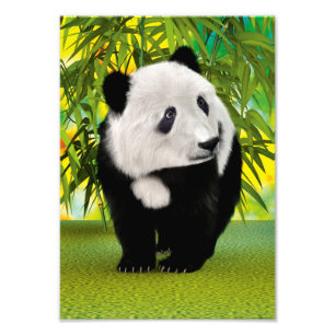 Impression Photo Cadeau pour amateur d'animaux mignon ours en peluc