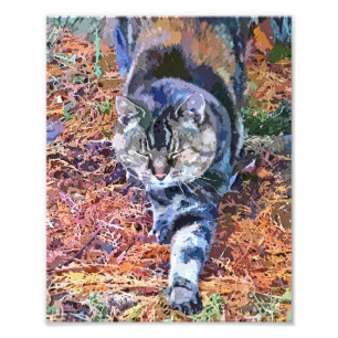 IMPRESSION PHOTO CADEAUX