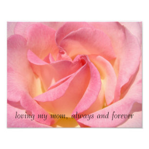 Impression Photo Cadeaux de rose rose pour toujours et à jamais pou