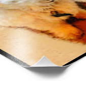 Impression Photo Calendrier Malshi 2026 (Coin)