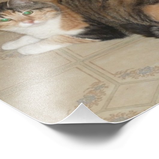 Impression Photo Calico Cat (Coin)