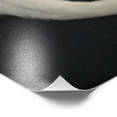 Impression Photo Calico kitty cat (Coin)