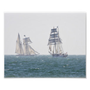 Impression Photo Californien grand et Lynx de bateaux