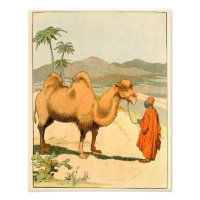 Camille à deux Humpes asiatique