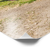 Impression Photo Camion de plusieurs couleurs - Pères; Pères; Pères (Coin)