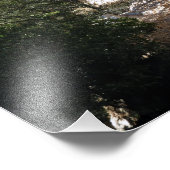 Impression Photo Camping Bear Canyon (Coin)