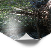 Impression Photo Camping Bear Canyon (Coin)