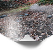 Impression Photo Camping Bear Canyon (Coin)