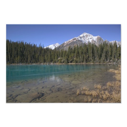 Impression Photo Canada, Alberta, parc national de Jasper : JASPER, (Devant)