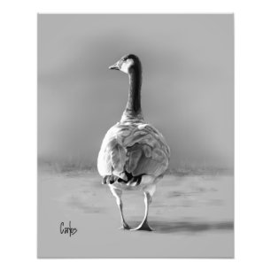 Impression Photo Canada Goose
