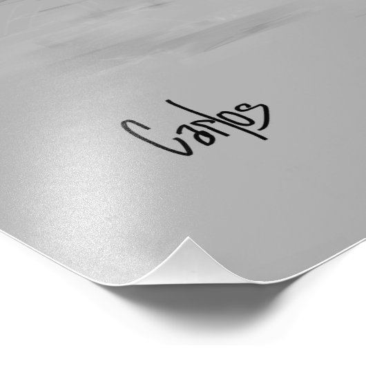 Impression Photo Canada Goose (Coin)