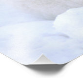 Impression Photo Canada, Manitoba, Churchill. Renard arctique (Coin)