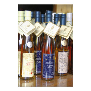 Impression Photo Canada, Québec, L'isle-aux-Coudres. Verger