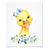 Impression Photo Canard, Animaux De Ferme, Fleurs Bleues, Garçon (Devant)