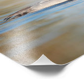 Impression Photo canard de canvasback mâle (Coin)