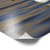 Impression Photo Canard de l'oeil d'or mâle (Coin)