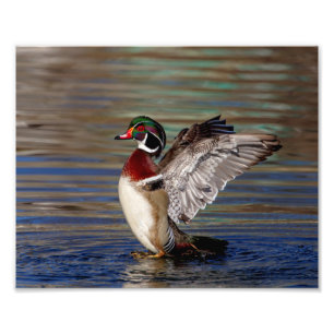 Impression Photo Canard en bois