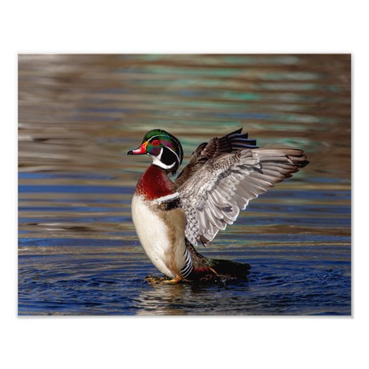 Impression Photo Canard en bois 14x11 (Devant)