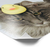 Impression Photo Canard sur sa tête (Coin)