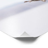 Impression Photo Canards rouges en vol (Coin)