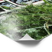 IMPRESSION PHOTO CANAUX (Coin)