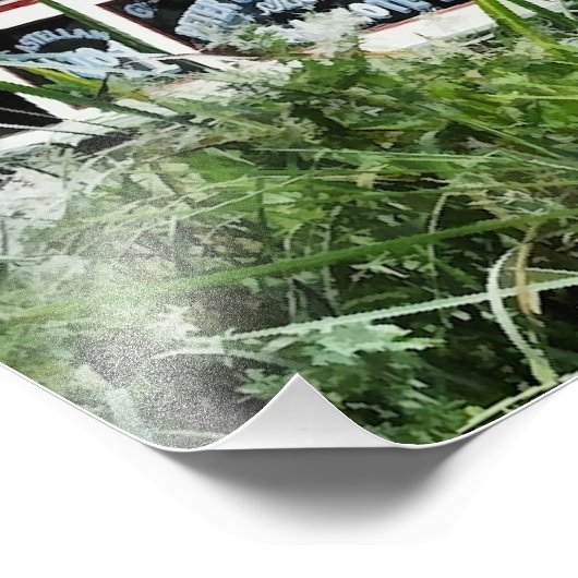 IMPRESSION PHOTO CANAUX (Coin)