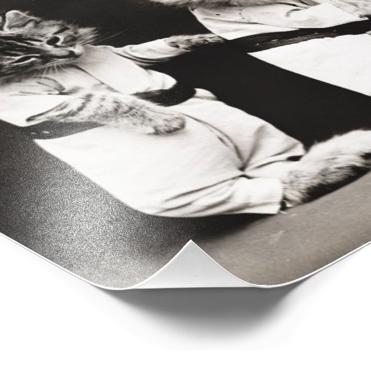 Impression Photo Cannon Kittens (Coin)