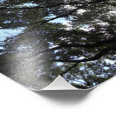 Impression Photo Canopée (Coin)