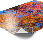 Impression Photo Canopée d'automne (Coin)
